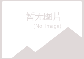 阜新夏岚电讯有限公司